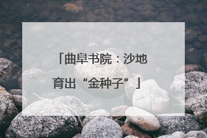 曲阜书院：沙地育出“金种子”