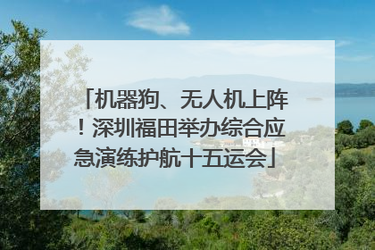 机器狗、无人机上阵！深圳福田举办综合应急演练护航十五运会