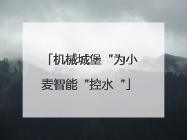 机械城堡“为小麦智能“控水“
