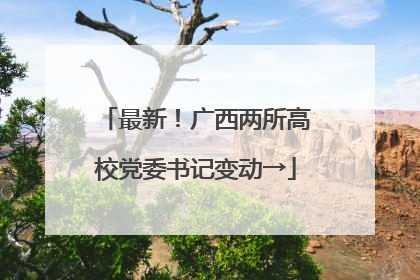 最新！广西两所高校党委书记变动→