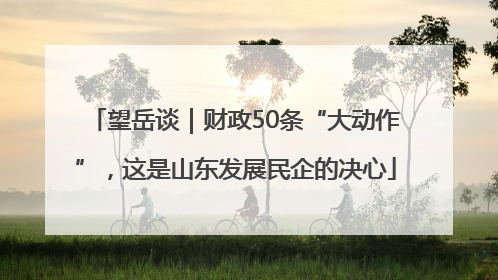 望岳谈｜财政50条“大动作”，这是山东发展民企的决心