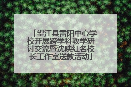 望江县雷阳中心学校开展跨学科教学研讨交流暨沈映红名校长工作室送教活动