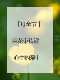 母亲节｜用花束传递心中的爱