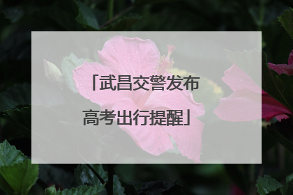 武昌交警发布高考出行提醒