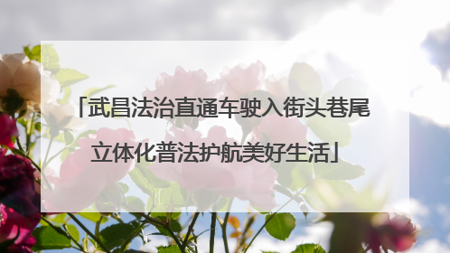 武昌法治直通车驶入街头巷尾 立体化普法护航美好生活