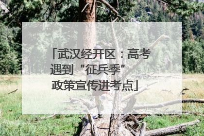 武汉经开区：高考遇到“征兵季”  政策宣传进考点