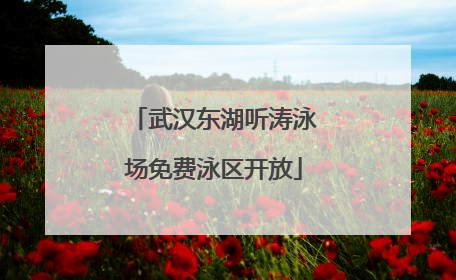 武汉东湖听涛泳场免费泳区开放