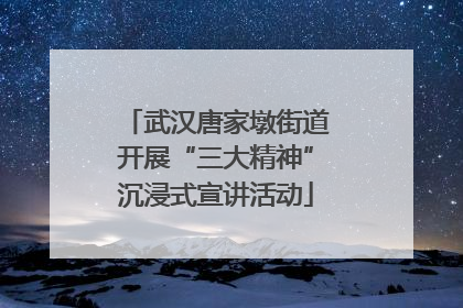 武汉唐家墩街道开展“三大精神”沉浸式宣讲活动