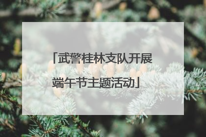 武警桂林支队开展端午节主题活动