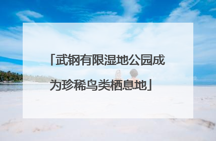 武钢有限湿地公园成为珍稀鸟类栖息地