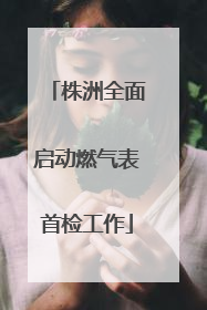 株洲全面启动燃气表首检工作
