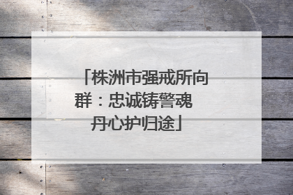 株洲市强戒所向群：忠诚铸警魂 丹心护归途
