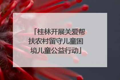 桂林开展关爱帮扶农村留守儿童困境儿童公益行动