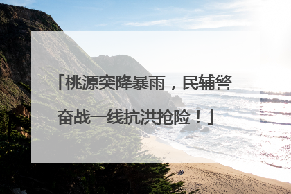 桃源突降暴雨，民辅警奋战一线抗洪抢险！