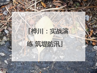 桦川：实战演练 筑堤防汛