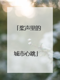 桨声里的城市心跳