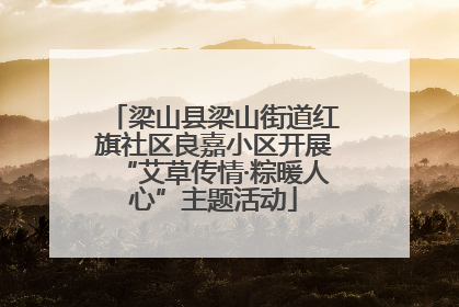 梁山县梁山街道红旗社区良嘉小区开展“艾草传情·粽暖人心”主题活动