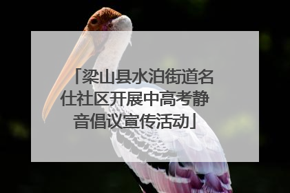 梁山县水泊街道名仕社区开展中高考静音倡议宣传活动