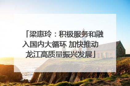梁惠玲：积极服务和融入国内大循环 加快推动龙江高质量振兴发展