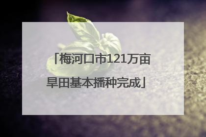 梅河口市121万亩旱田基本播种完成