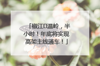 椒江⇌温岭，半小时！年底将实现高架主线通车！