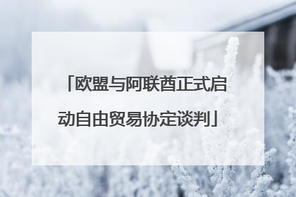 欧盟与阿联酋正式启动自由贸易协定谈判