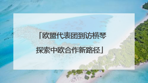 欧盟代表团到访横琴 探索中欧合作新路径