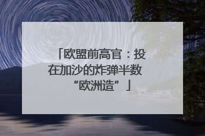 欧盟前高官：投在加沙的炸弹半数“欧洲造”