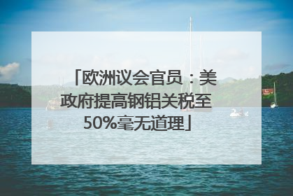 欧洲议会官员：美政府提高钢铝关税至50%毫无道理