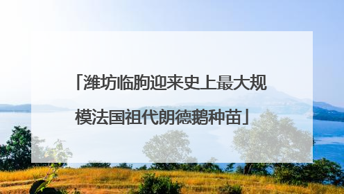 潍坊临朐迎来史上最大规模法国祖代朗德鹅种苗