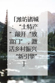 潍坊诸城：“土特产”敲开“致富门”，激活乡村振兴“新引擎”