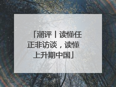 潮评丨读懂任正非访谈，读懂上升期中国
