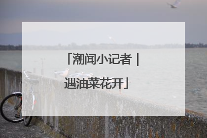 潮闻小记者｜遇油菜花开