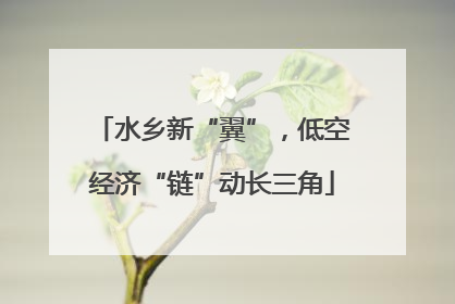 水乡新“翼”，低空经济“链”动长三角