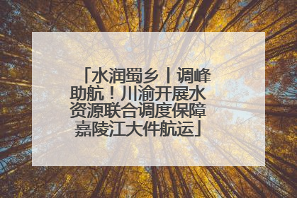 水润蜀乡丨调峰助航！川渝开展水资源联合调度保障嘉陵江大件航运
