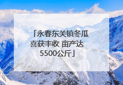 永春东关镇冬瓜喜获丰收 亩产达5500公斤