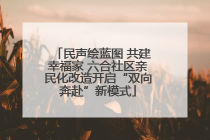民声绘蓝图 共建幸福家 六合社区亲民化改造开启“双向奔赴”新模式