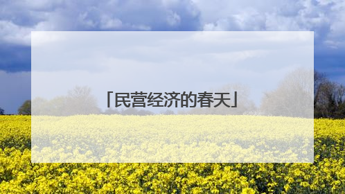民营经济的春天