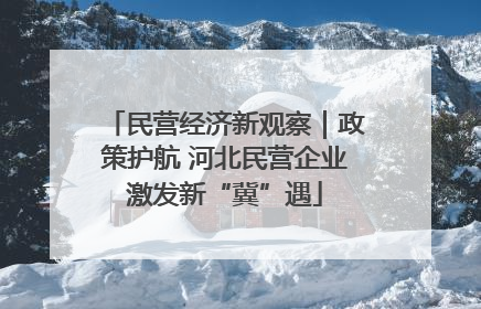 民营经济新观察｜政策护航 河北民营企业激发新“冀”遇