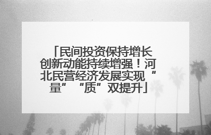 民间投资保持增长 创新动能持续增强！河北民营经济发展实现“量”“质”双提升