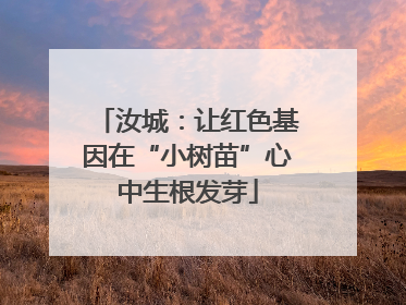 汝城：让红色基因在“小树苗”心中生根发芽