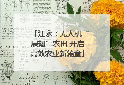 江永：无人机“展翅”农田 开启高效农业新篇章