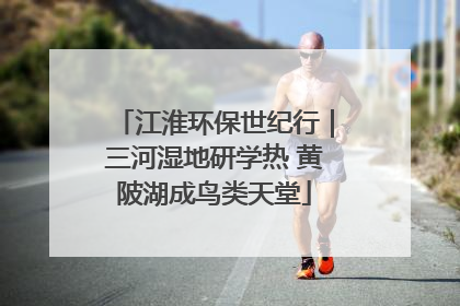 江淮环保世纪行｜三河湿地研学热 黄陂湖成鸟类天堂