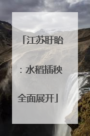 江苏盱眙：水稻插秧全面展开