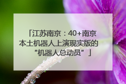 江苏南京：40+南京本土机器人上演现实版的“机器人总动员”