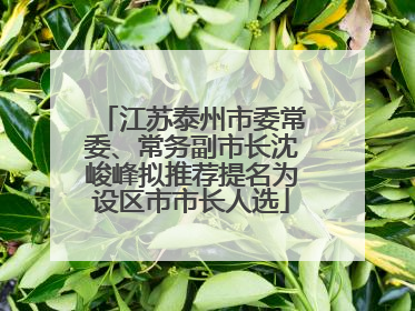 江苏泰州市委常委、常务副市长沈峻峰拟推荐提名为设区市市长人选