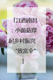 江西南昌：小菌菇撑起乡村振兴“致富伞”