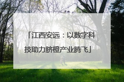 江西安远：以数字科技助力脐橙产业腾飞