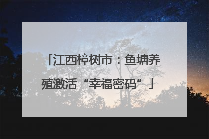 江西樟树市：鱼塘养殖激活“幸福密码”