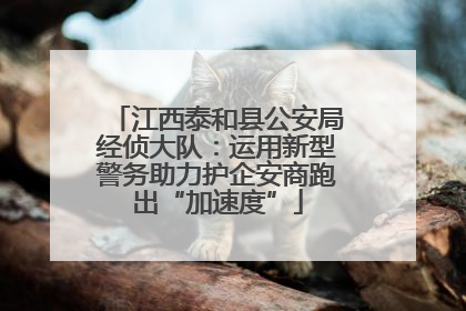 江西泰和县公安局经侦大队：运用新型警务助力护企安商跑出“加速度”